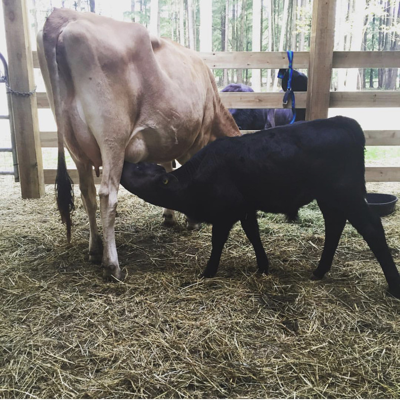 A72217E4-8904-4482-9408-7A4909CBD693