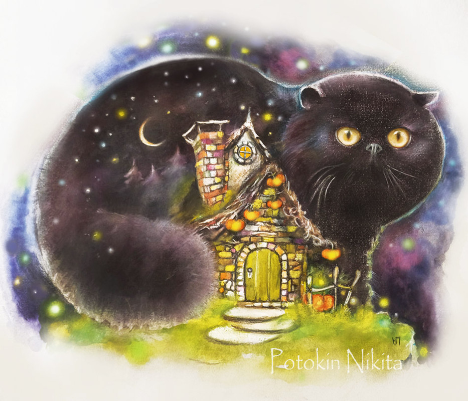 Котик Ночь 72