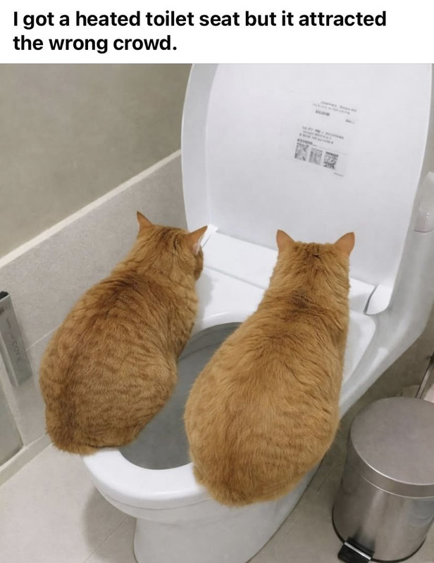 dc5705b1af1b22da87b4354e07e9c964