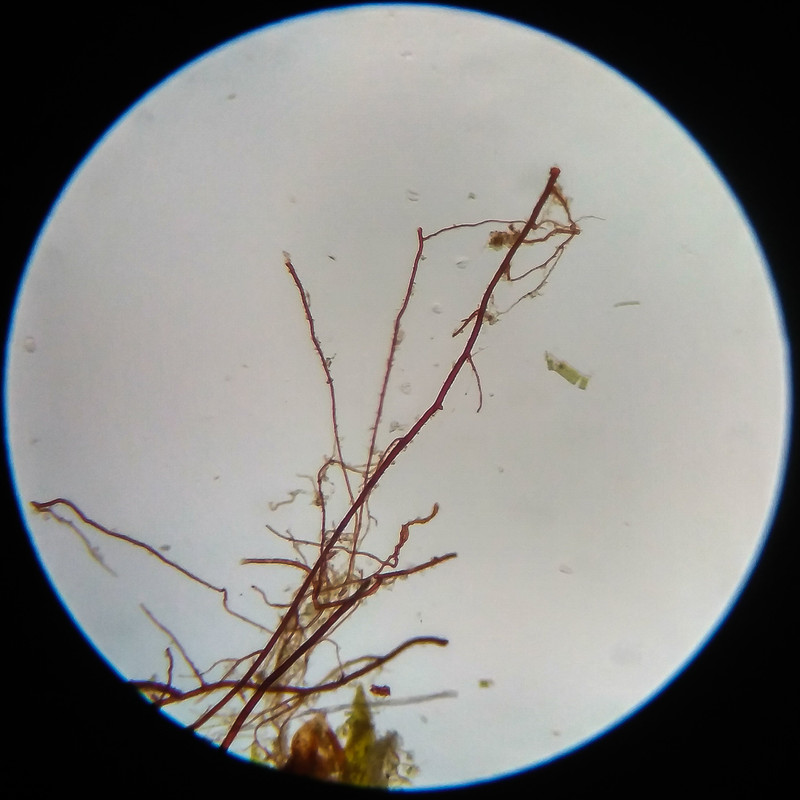 IMG 20250617 114720 HDR