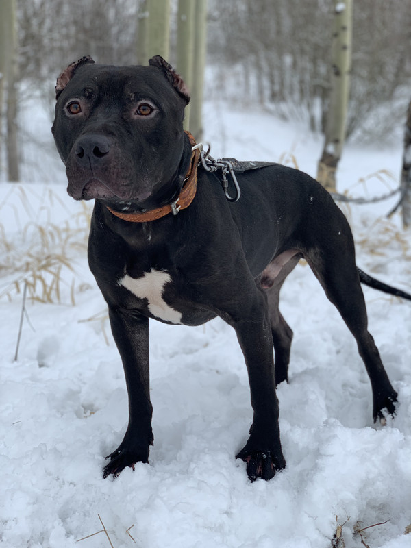 EE923140-EDDB-4698-B976-8CAB606D3F8F