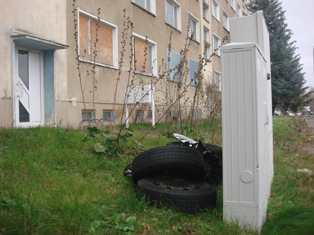 DSC08686.jpg