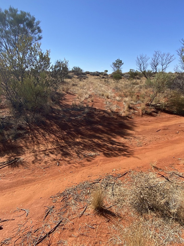 2021_Boys_Off-Track_Desert_Trip_(672).jpg