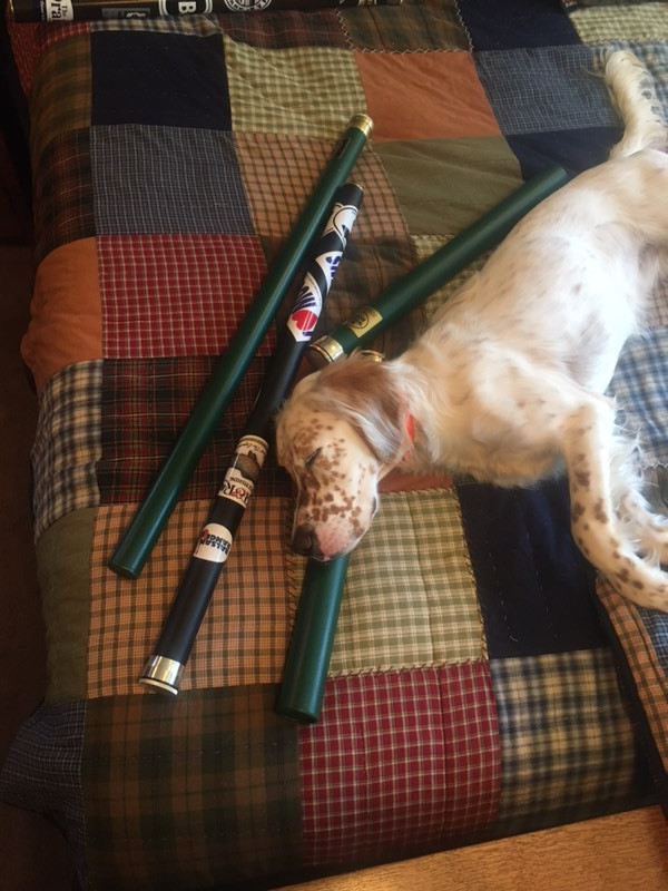 C2FF5294-5EC2-4C1D-9CDA-E0F6802B6118