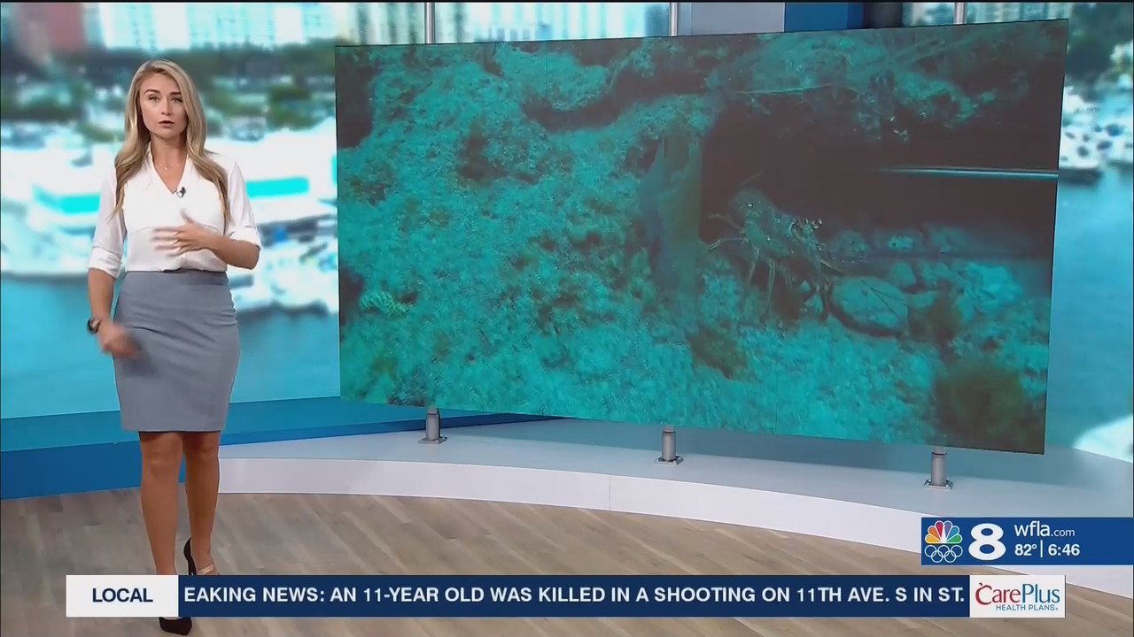 NewsChannel 8 Today at 6a_20240809_11001200.ts_snapshot_00.47.56.151