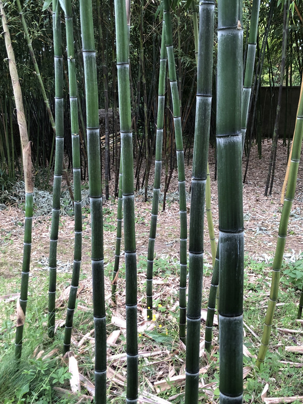 61F0273E-98F1-4BB4-A428-7CCFA16B0428