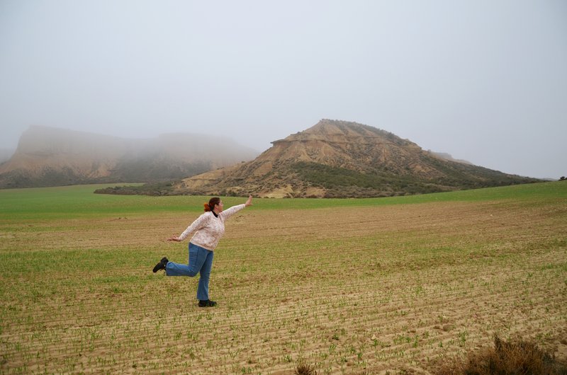 Navarra y sus pueblos-2015 - Blogs de España - Las Bárdenas Reales-15-11-2015 (50)
