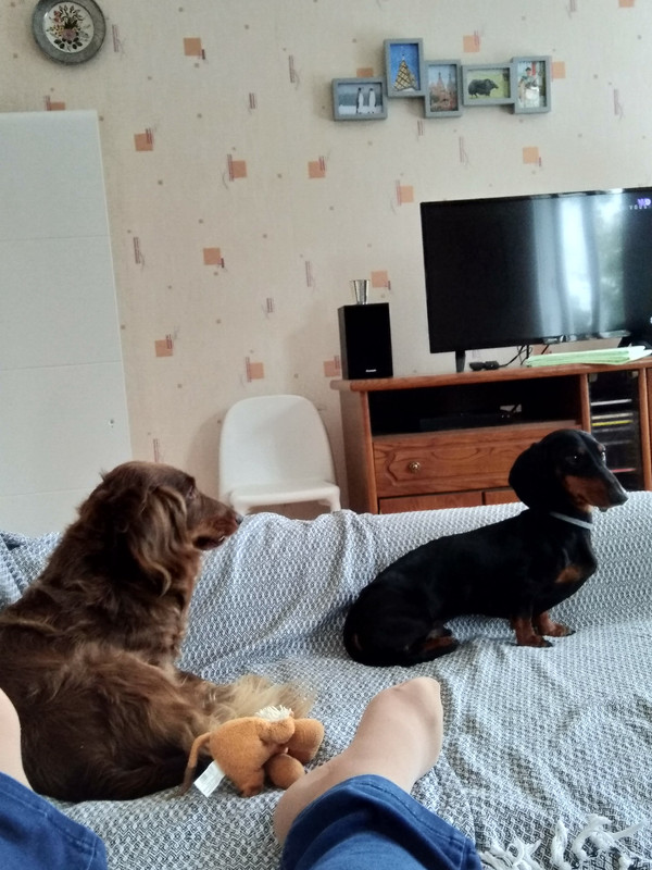 [Image: IMG-20200921-141018.jpg]