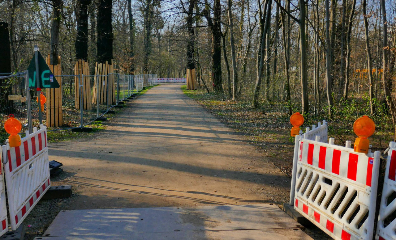 Bild: https://i.postimg.cc/RZjBmYzd/P1340929.jpg