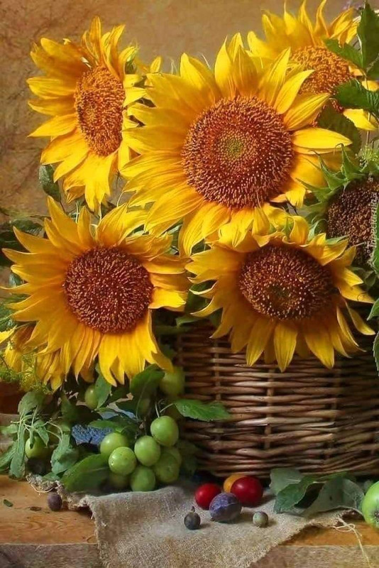 457249555_3291635147636732_8023782809773979245_n