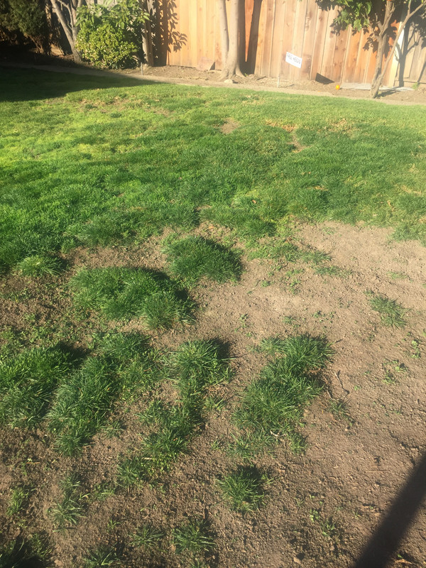 5306BD14-A56B-4BE5-AC93-891E4B3BE56F