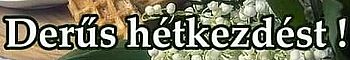 https://i.postimg.cc/RZjTwRvv/derus-hetkezdest4.jpg