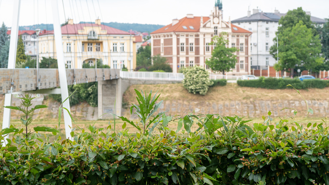 IMG-5320-Poprawione-Szum.jpg