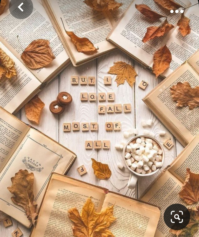 Screenshot_20231015_201041_Pinterest