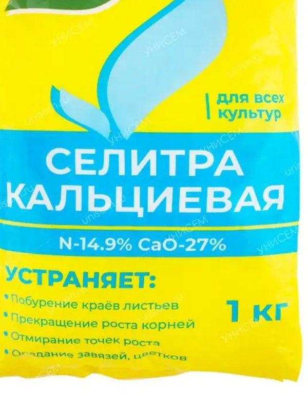 Без названия