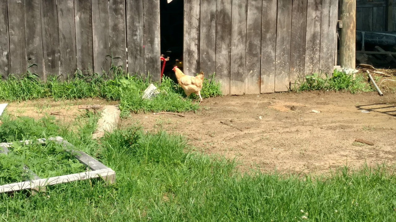 IMG_20180624_100933928_HDR
