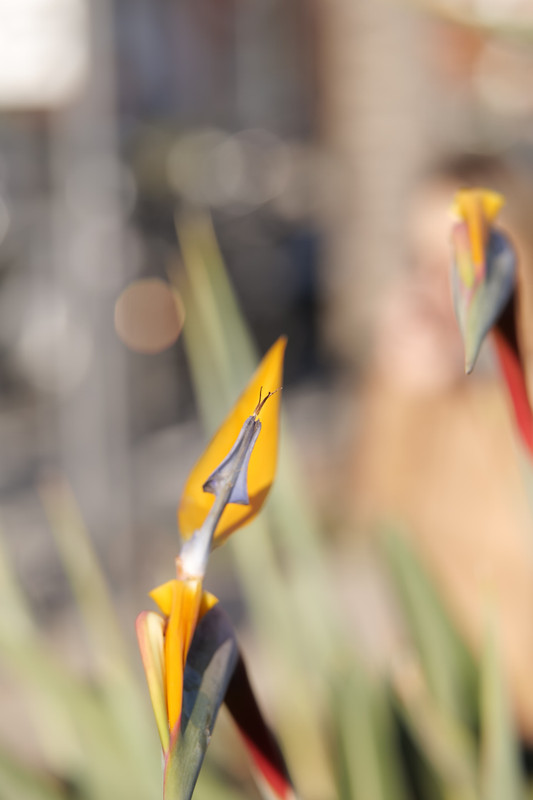 Whats App Image 2025 12 31 at 23 58 30 (1)