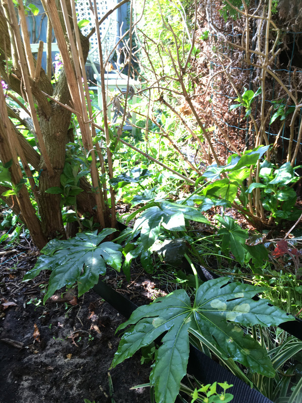 D7AFA1C2-F18A-4006-88B7-ABBB9026FC28