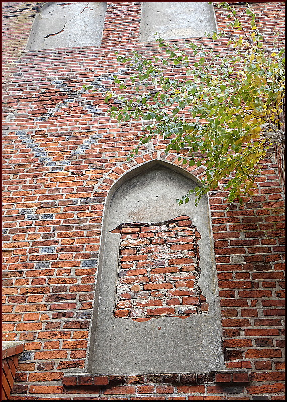 https://i.postimg.cc/RZk4M7T0/89.jpg