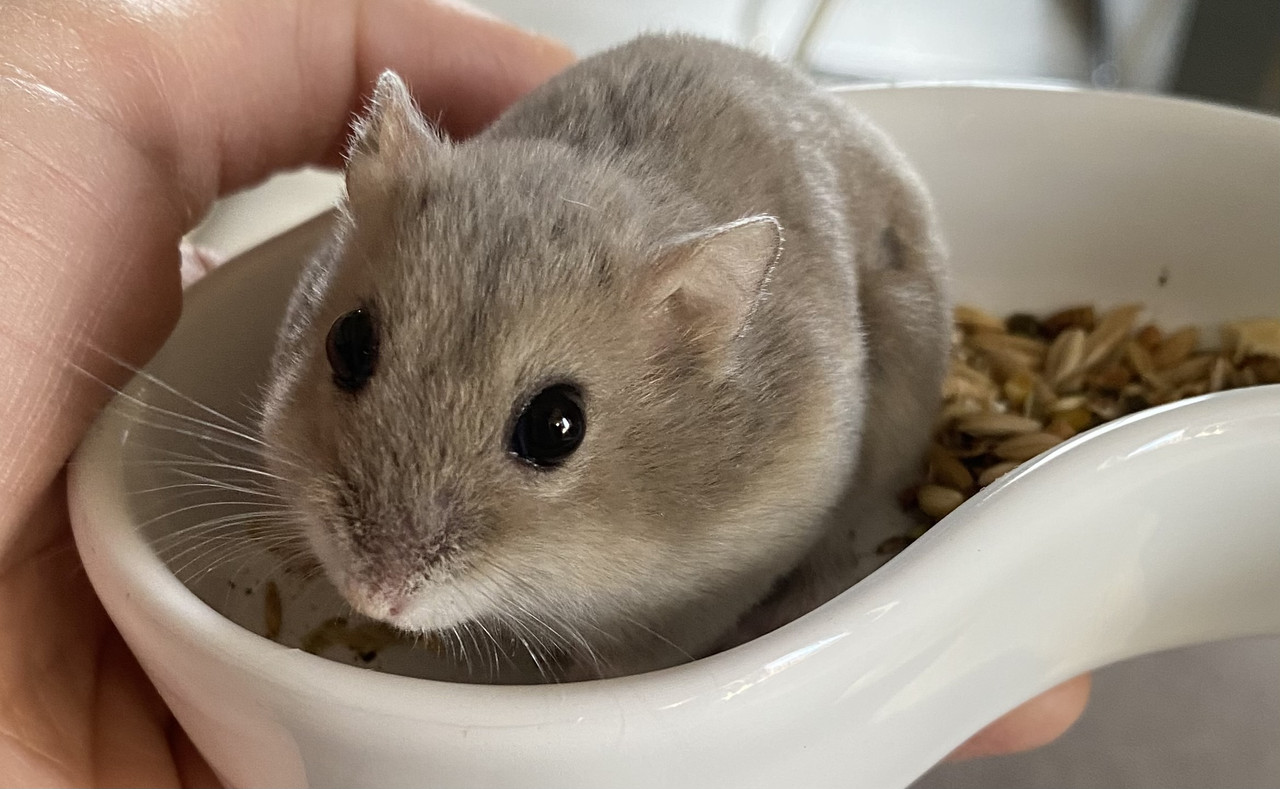 43759BA3-36E4-461D-80A1-EB23C9DD8380