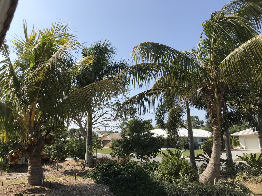 7F721A6B-F6C7-4297-AD7B-43F8ECFFC2EB