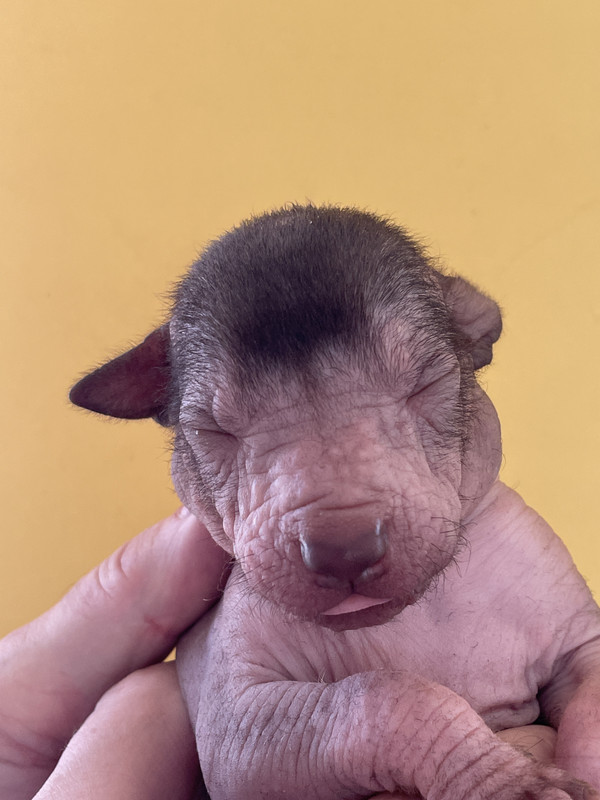 5AECED4B-FC08-487B-9F69-1159F4F4FC76