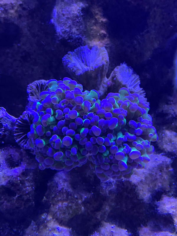 12C005E8-179F-4790-8A0C-4E98B6426D2A