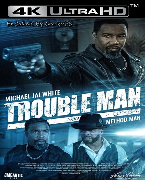 Fachowiec / Trouble Man (2025) MULTI.HDR.2160p.BluRay.DTS.HD.MA.AC3-ChrisVPS / LEKTOR AI i NAPISY
