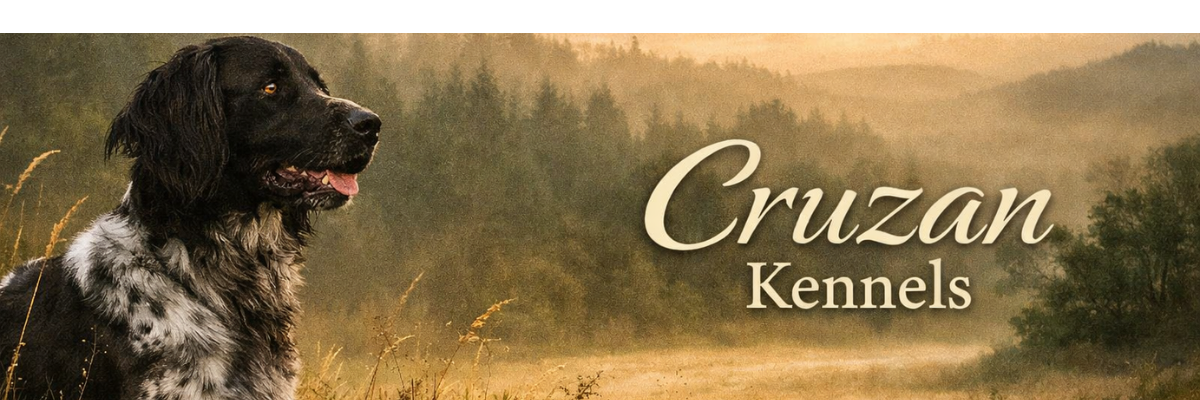 THIS IS YOUR BIG BANNER! DO NOT REMOVE SIZING