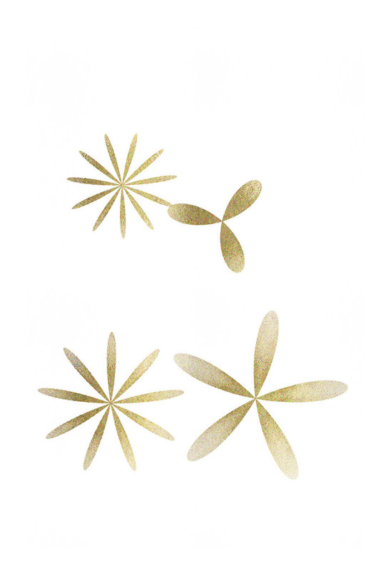 4 рябиновых ягод рубашка