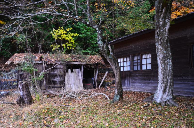 Saiko Iyashi no Sato Nenba-16-11-2024 - Japón y sus Pueblos-2024 (11)