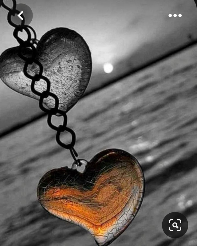 Screenshot_20230401_013056_Pinterest