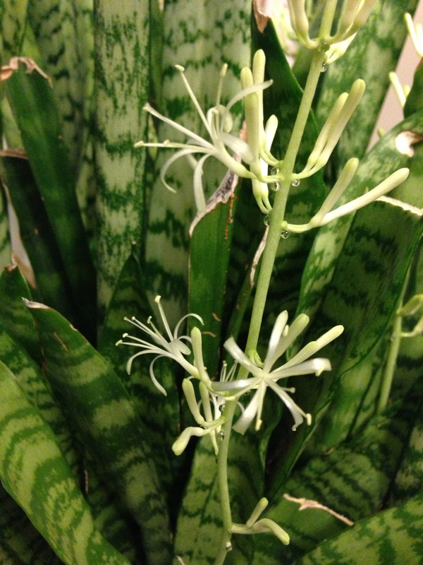 2FD1D618-F5C1-4BA5-8558-607B82BA2624