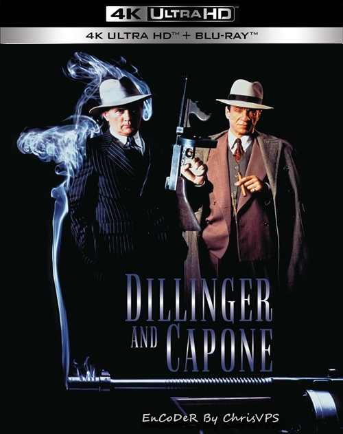 Dillinger and Capone (1995) MULTI.HDR.2160p.WEB.DL.AC3-ChrisVPS / LEKTOR AI i NAPISY