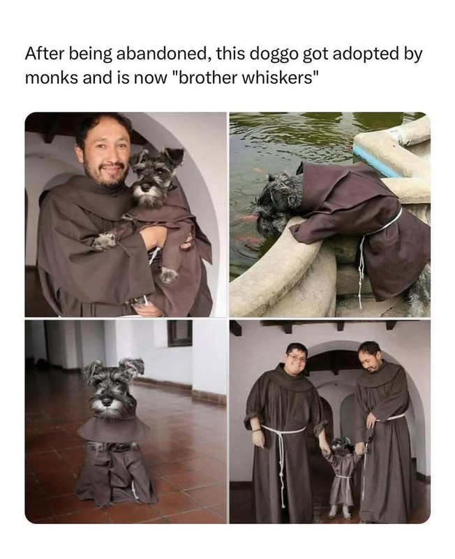 671144710-18432884548190573-2724662715979337470-n