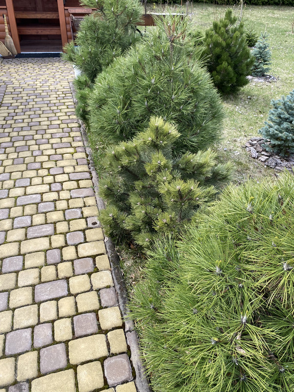 252125AD-8FB2-496D-A233-A0FF61C8112F