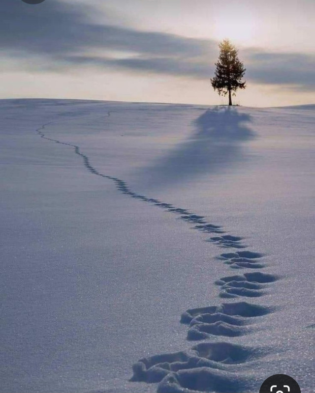 Screenshot_20231006_221253_Pinterest