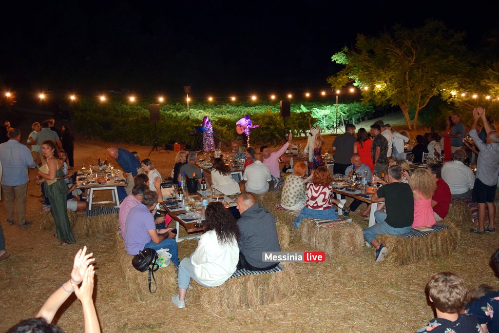 psaroulis-vasilada-DSC-0179