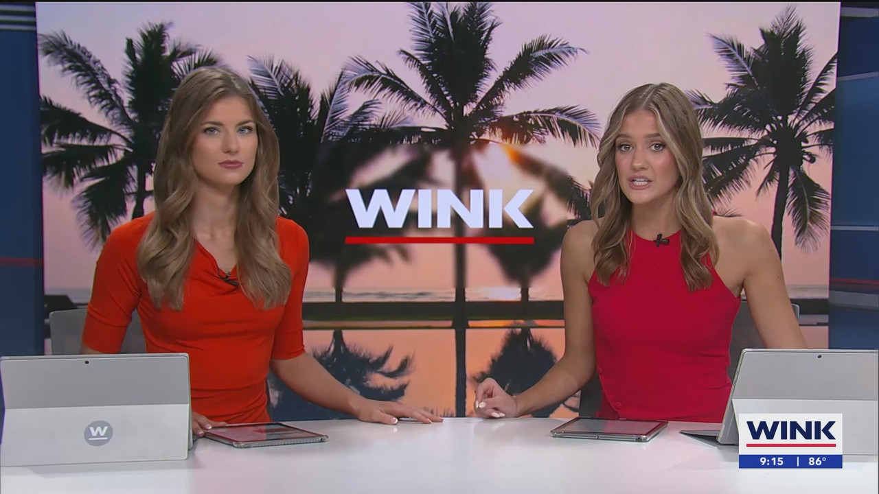 08.10 - 14.00.00 - WINK News at 9 00AM  ᴺᵉʷ. Morning news.ts_snapshot_16.37.946