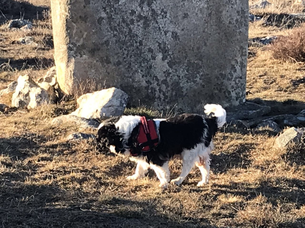 540AD614-A7E3-461E-9E0A-469FBF7775BF