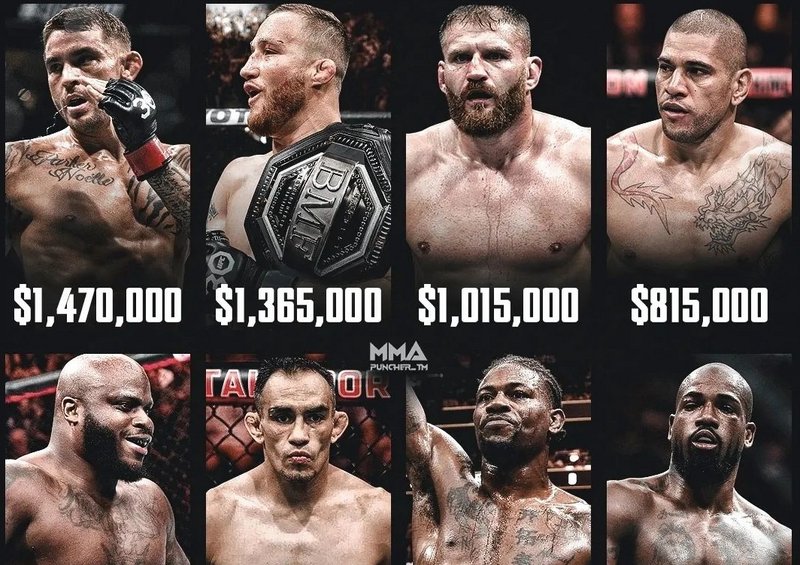 Заплати след UFC 291