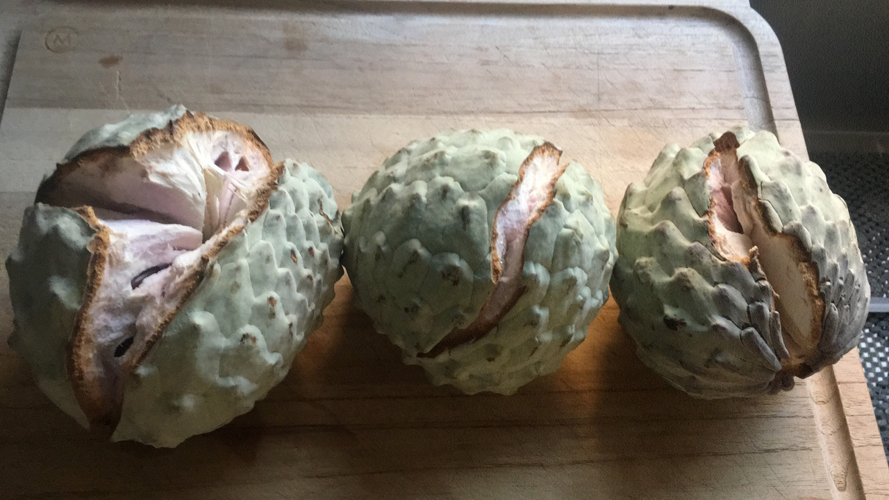 C9E224A2-7A48-43B7-91A0-FF6A1432D397