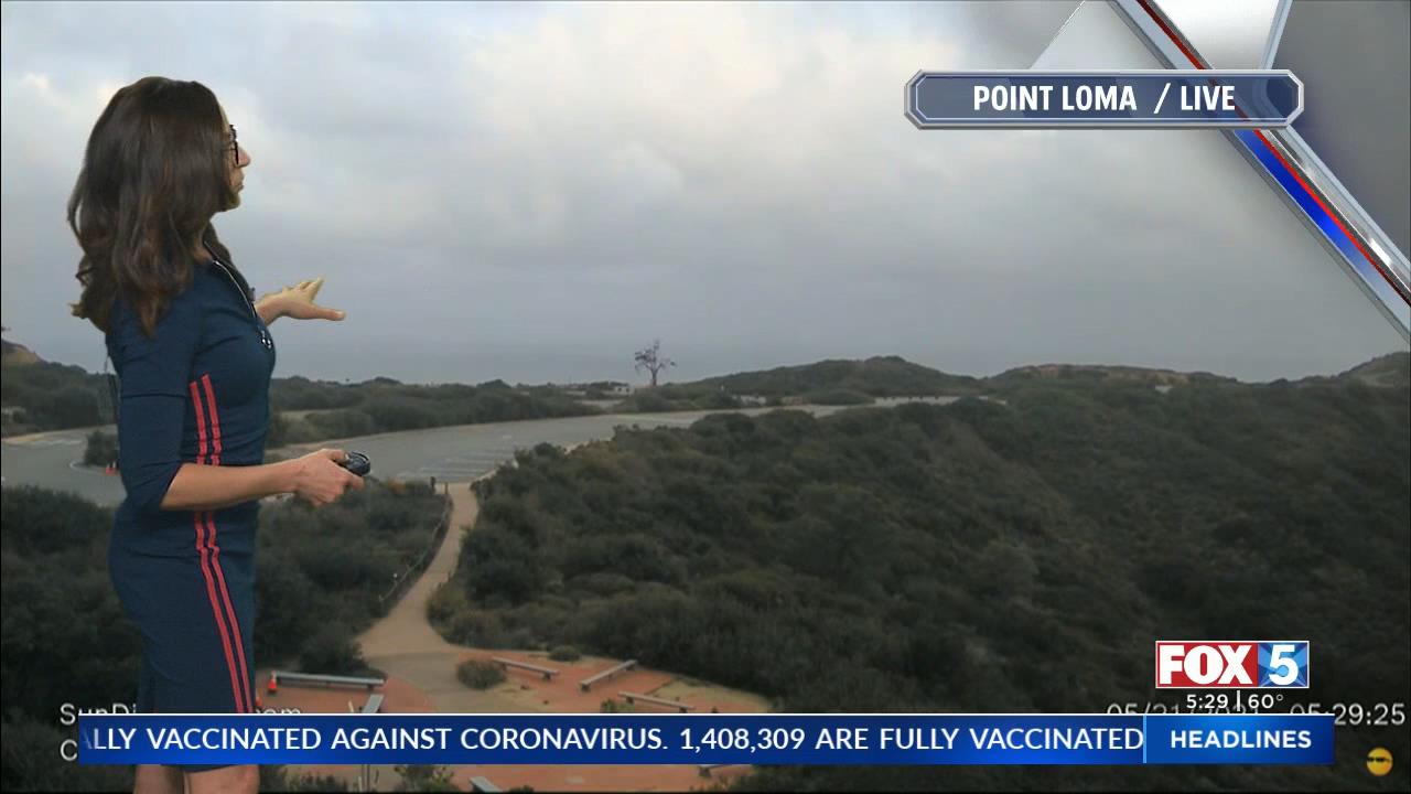 05.21 - 13.00.00 - FOX 5 Morning News at 5 00am  ᴺᵉʷ. Local news, wea....ts_snapshot_31.39_[2021.05.