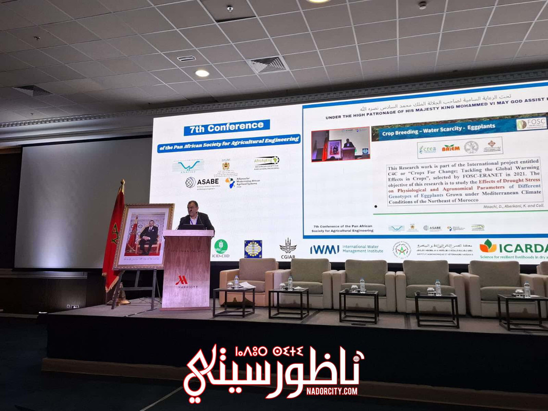 565676853-2015046982630143-4652478486494127476-n