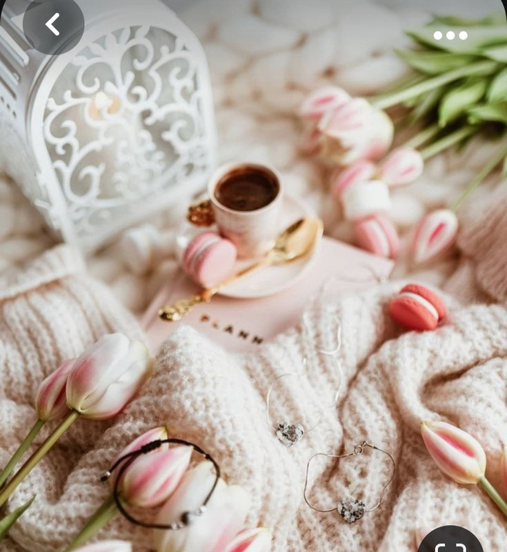 Screenshot_20230929_000535_Pinterest