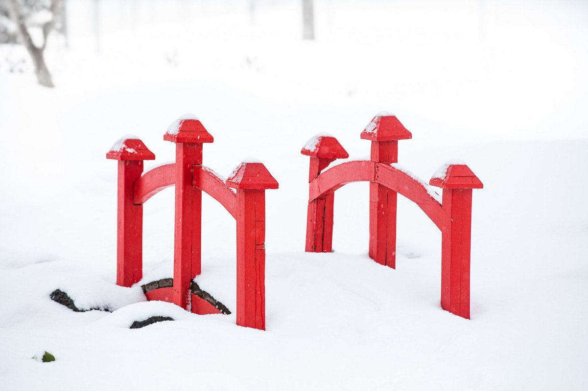 red-winter-garden.jpg