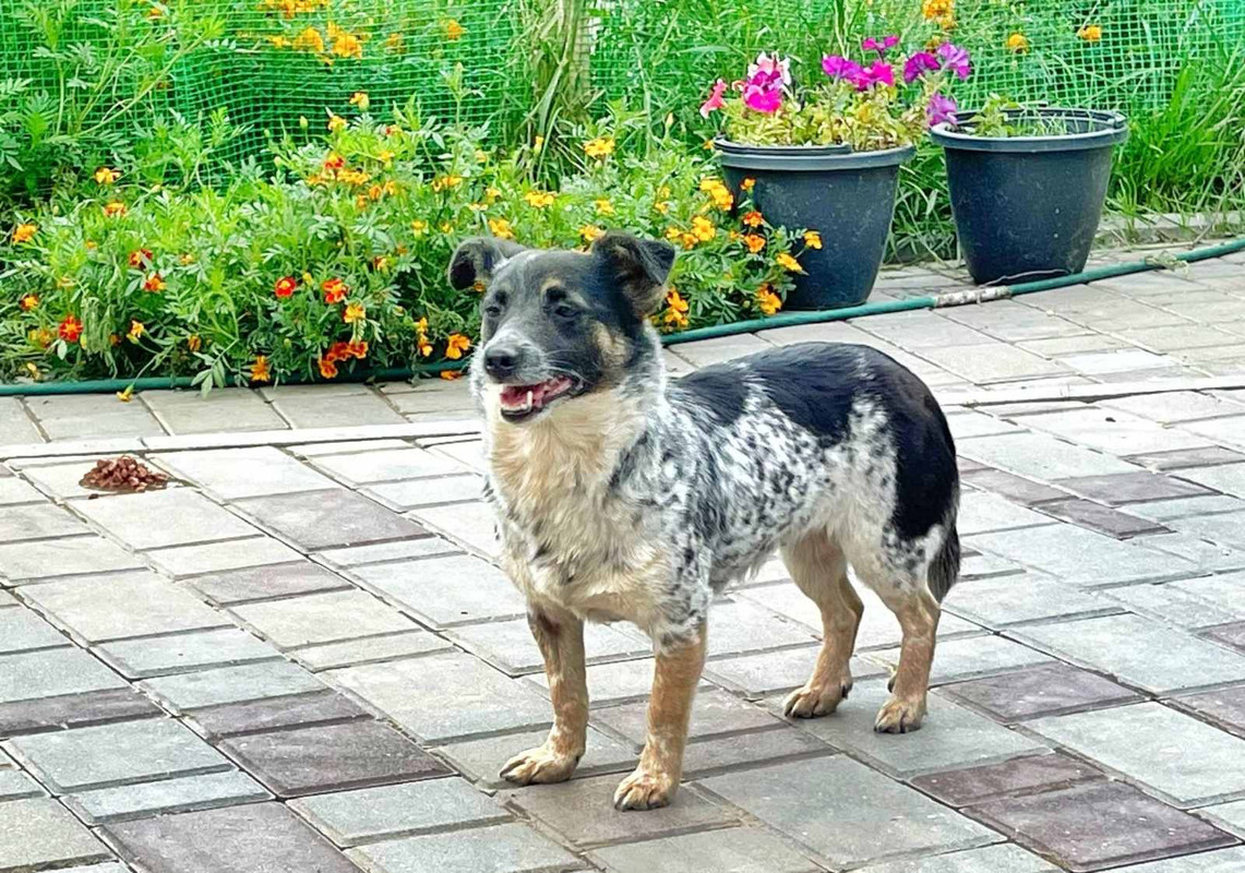 4BF32F44-3779-4164-BA5A-00BCB746A936