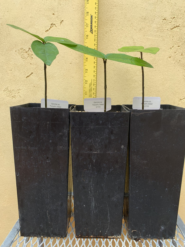 B868A6DD-99A0-4DE0-BA81-AFAA71DFEBA4