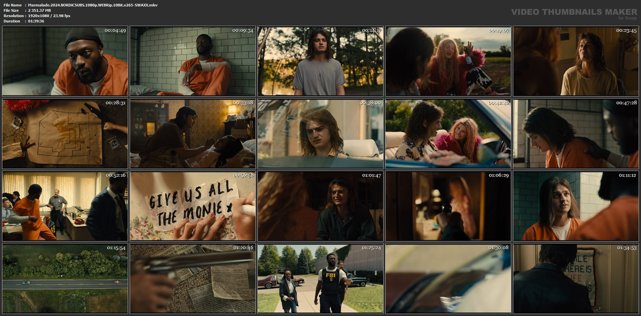 Marmalade.2024.NORDiCSUBS.1080p.WEBRip.10Bit.x265-SWAXX.mkv