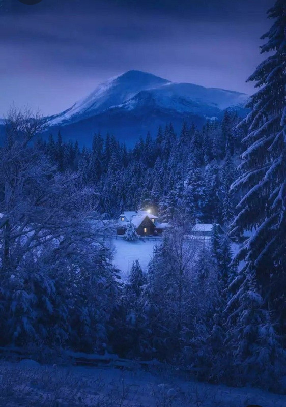 Screenshot_20231024_233301_Pinterest